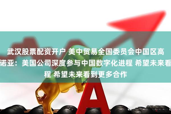 武汉股票配资开户 美中贸易全国委员会中国区高级副会长范诺亚：美国公司深度参与中国数字化进程 希望未来看到更多合作