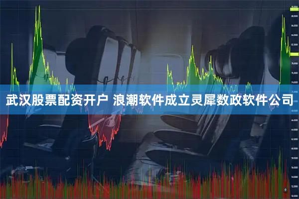 武汉股票配资开户 浪潮软件成立灵犀数政软件公司