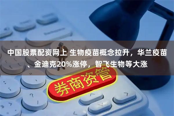 中国股票配资网上 生物疫苗概念拉升，华兰疫苗、金迪克20%涨停，智飞生物等大涨