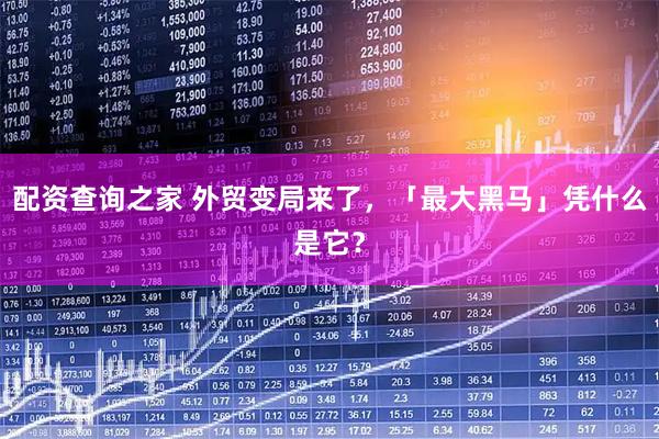 配资查询之家 外贸变局来了，「最大黑马」凭什么是它？