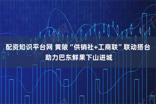 配资知识平台网 黄陂“供销社+工商联”联动搭台 助力巴东鲜果下山进城