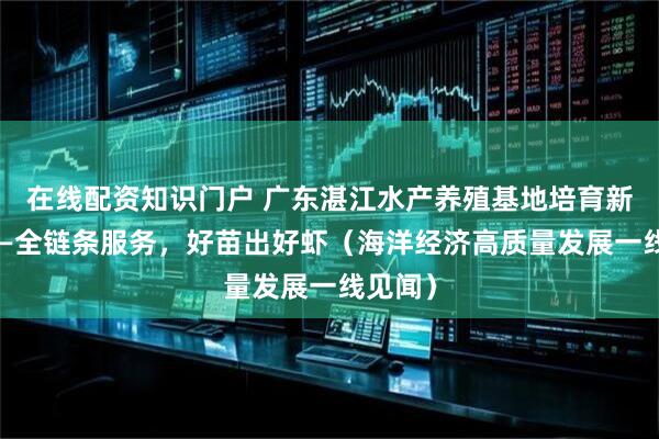 在线配资知识门户 广东湛江水产养殖基地培育新虾种——全链条服务，好苗出好虾（海洋经济高质量发展一线见闻）